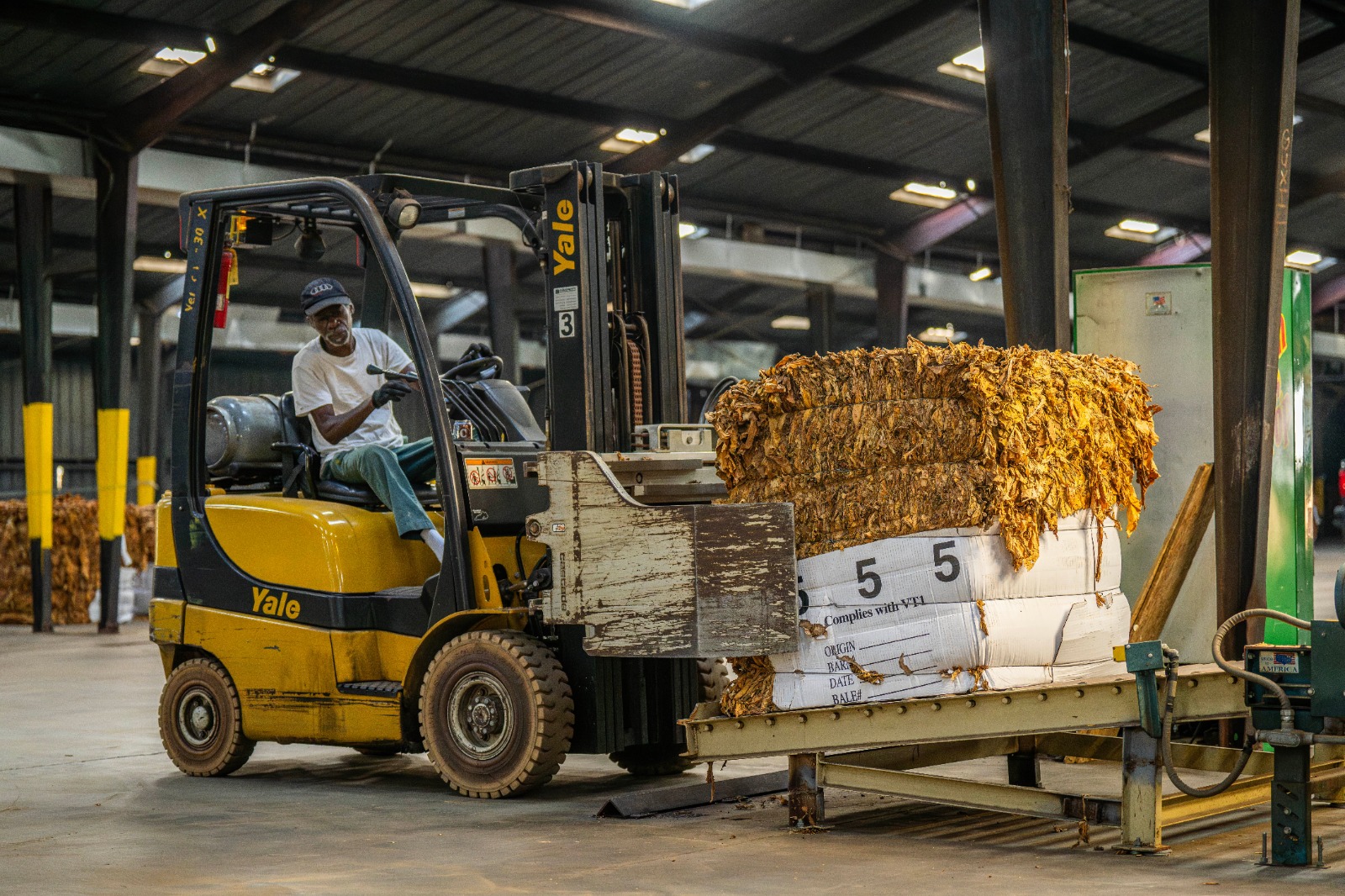 Diesel forklift for sale in Ajman lifting pallets inside a warehouse facility operated by Zoomlift